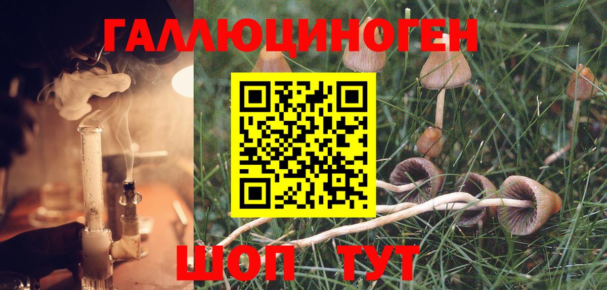 Серпухов  Галлюциногенные грибы Magic Shrooms  Вход с VPN 