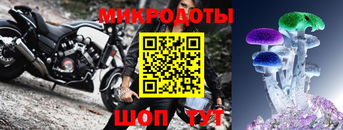 Псилоцибиновые грибы Cubensis Серпухов